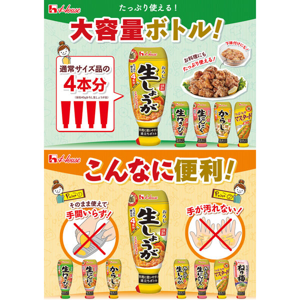 ハウス食品 おろし生しょうが 無着色 160g＜4本分＞ 2個 大容量 使い