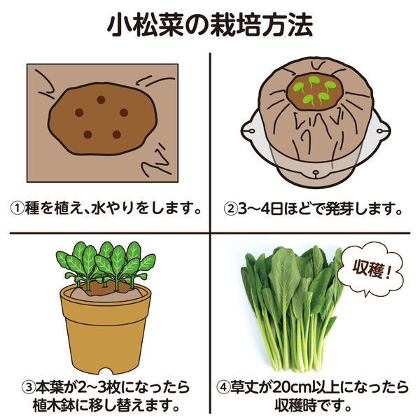 アーテック お家で楽しく栽培キット 小松菜 102934 3個（直送品