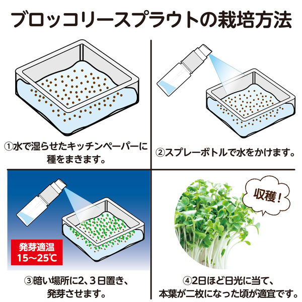 アーテック 水耕栽培でブロッコリースプラウトを育てよう 55944