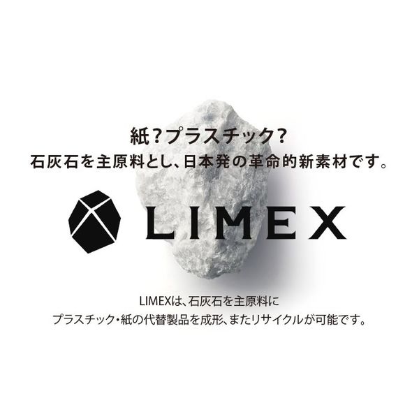 安全通路JIS規格安全標識LIMEXシート W300×H450×0.4mm 4カ国語 日本語 