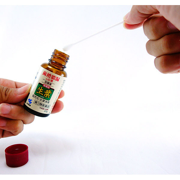Amazon | 【第3類医薬品】生葉液薬 20g | 生葉 | 歯槽膿漏治療剤