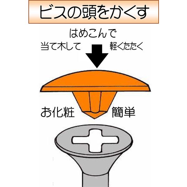 ダンドリビス ビスキャップ S62ブラック Abox 4920125713714 1パック（100個入）（直送品）