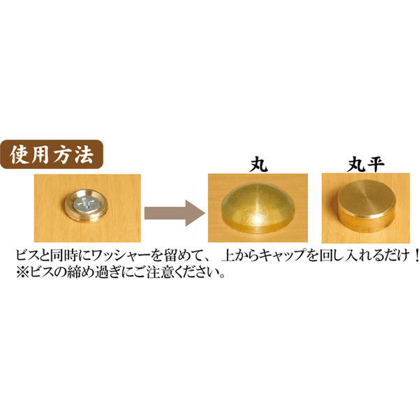 ダンドリビス C-TCCMXX-10 太鼓鋲風ネジキャップ 生地 丸 4920125813032 1パック（10個入）（直送品）