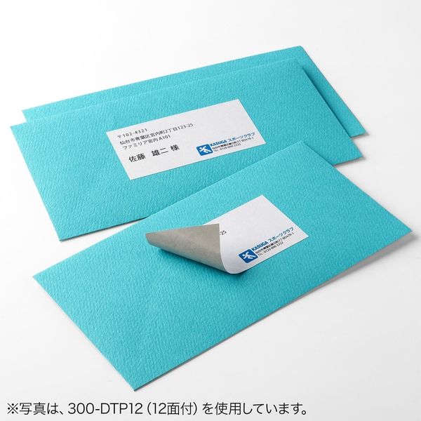 サンワダイレクト ラベルシール（下地が透けない 訂正シール