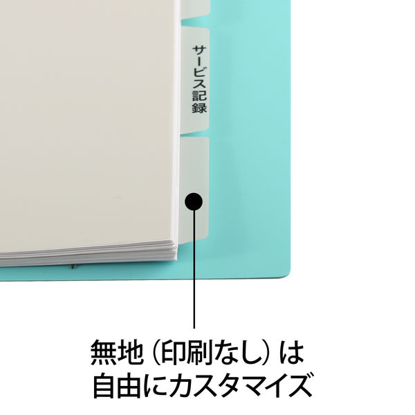 プラス たすけあ 利用者カルテ用インデックス FL-807IS 1袋（10組入