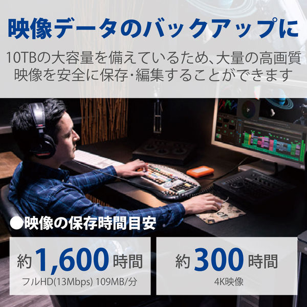HDD 外付け 10TB d2 Professional STHA10000800 LaCie 1個