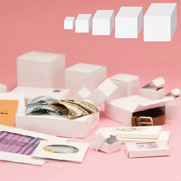 シモジマ 白無地箱 H-76 サック式 006837600 1セット（10枚入×10