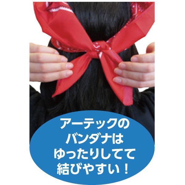 赤と青のバンダナ 6枚セット 開き