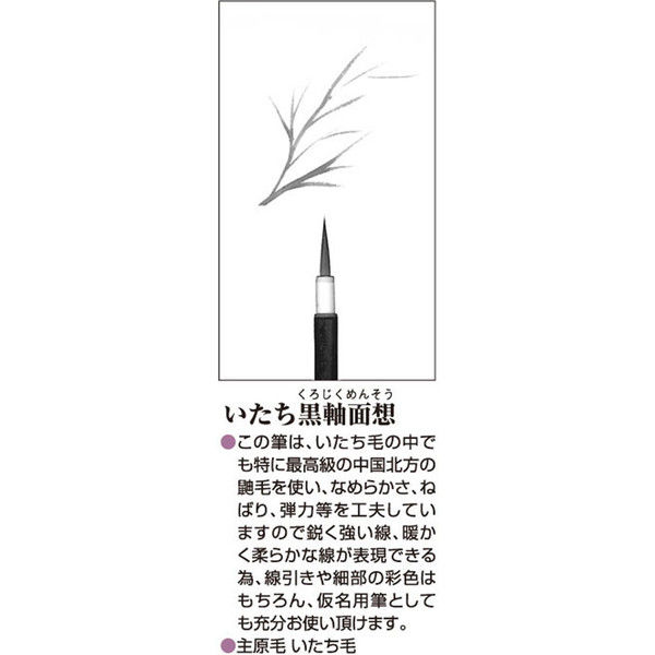 鉛筆画(手描き·額装込)  「黒い羽根」作品No 91 Amazon.co.jp: クローズ&worst 花木九里虎 複製原画 300枚限定