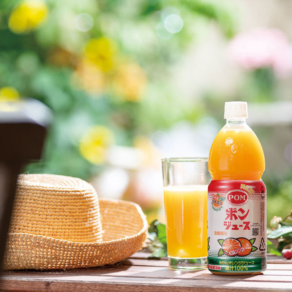 えひめ飲料 POM（ポンジュース）800ml 1本 - アスクル
