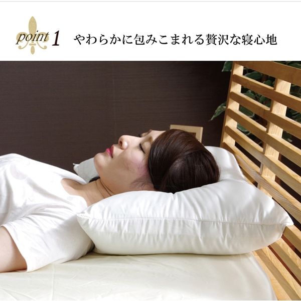 イケヒコ ホテル仕様枕 増量カバー付き 幅430×奥行630mm