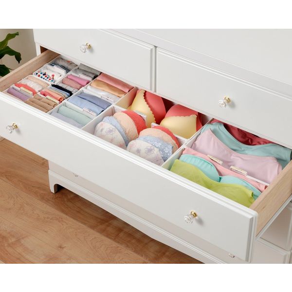 イノマタ化学 下着収納ケース M ホワイト 2953 1セット(1個×6) - アスクル