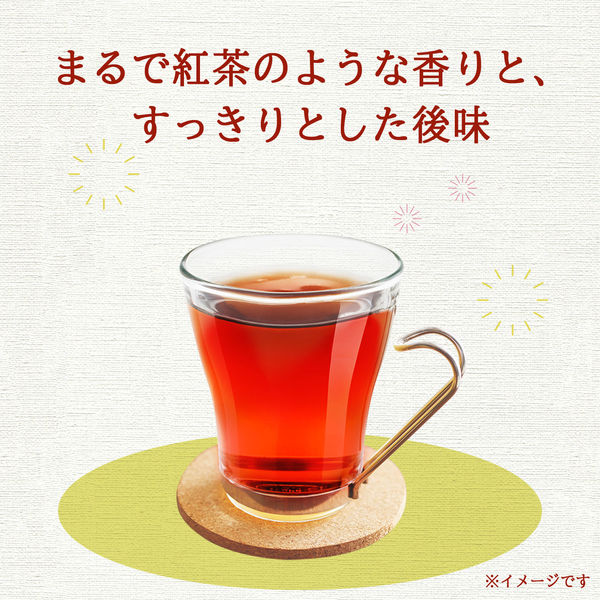 伊藤園 ヘルシールイボスティー 600ml 1箱（24本入） お茶