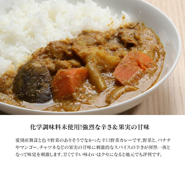 きのポックル 舞茸と色々野菜 ベジタブルカレー ST10001ht 1セット(10 