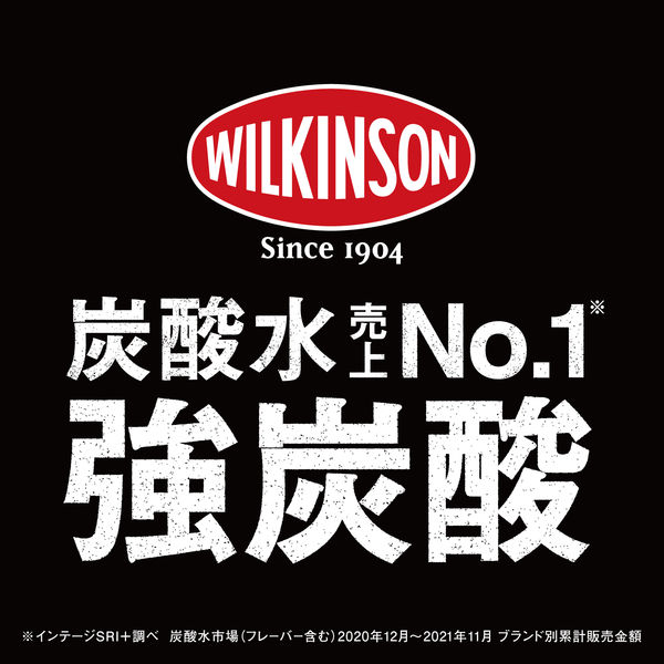 【限定品】未使用 ウィルキンソン 文化浴泉 コラボノベルティ Wilkinson アイズフロンティア リミテッドフェイクレザーワンピンベルト