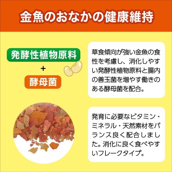 金魚元気 水キレイフレーク 天然色揚げ成分配合 50g 1セット（1