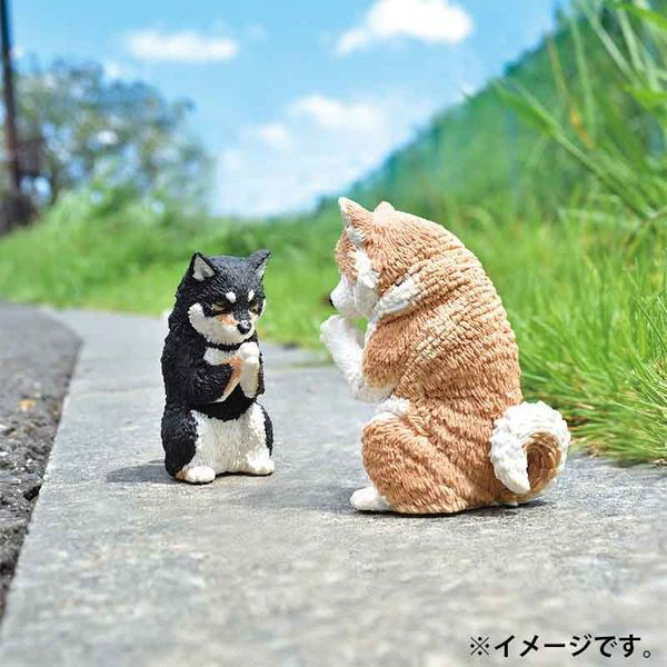 エール フィギュア 合掌 匠 犬拝 BOX 4589469846207 1個(直送品 エール フィギュア 合掌 匠 犬拝 BOX 4589469846207 1個(直送品