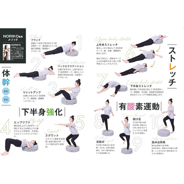 Gym terior トランポリンクッション 青い鳥 1個 FUJIEI