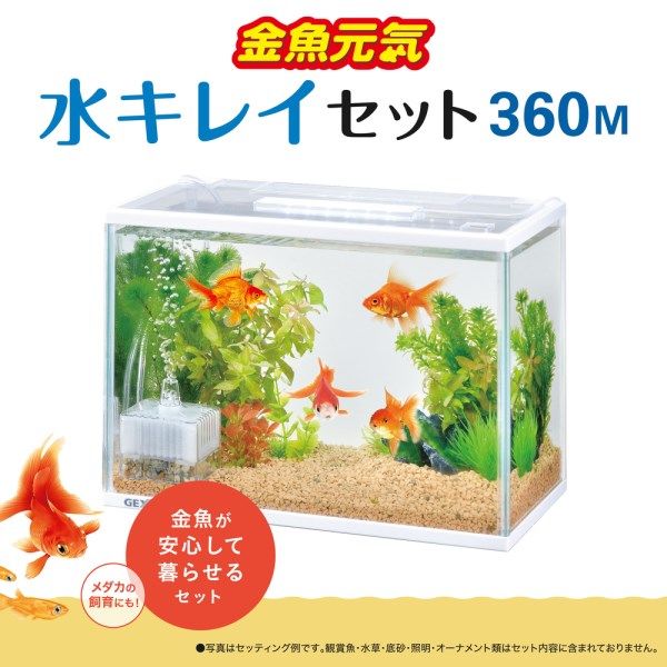 金魚元気 ぶくぶく 水キレイセット M 1台 ジェックス - アスクル