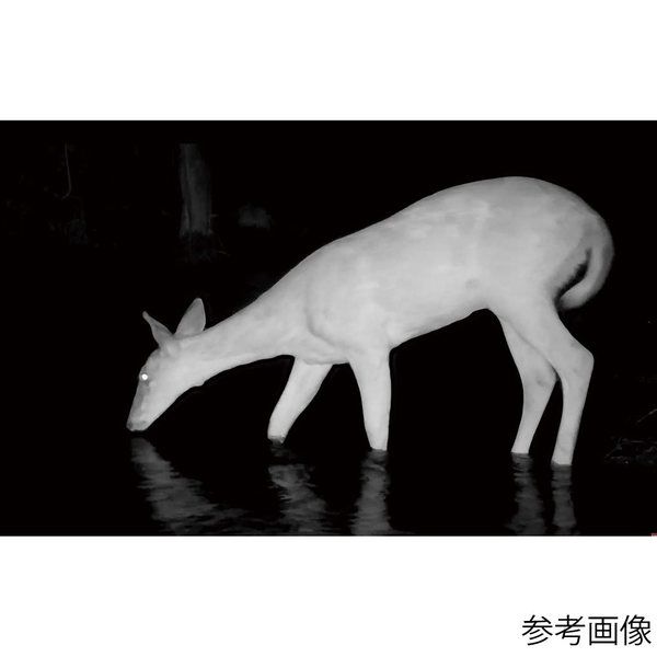 阪神交易 トロフィーカムXLT30MPノーグロウSC4K 119949C 1箱(1個) 65-9087-87(直送品) 阪神交易 トロフィーカムXLT30MPノーグロウSC4K 119949C 1箱(1個) 65-9087-87(直送品)