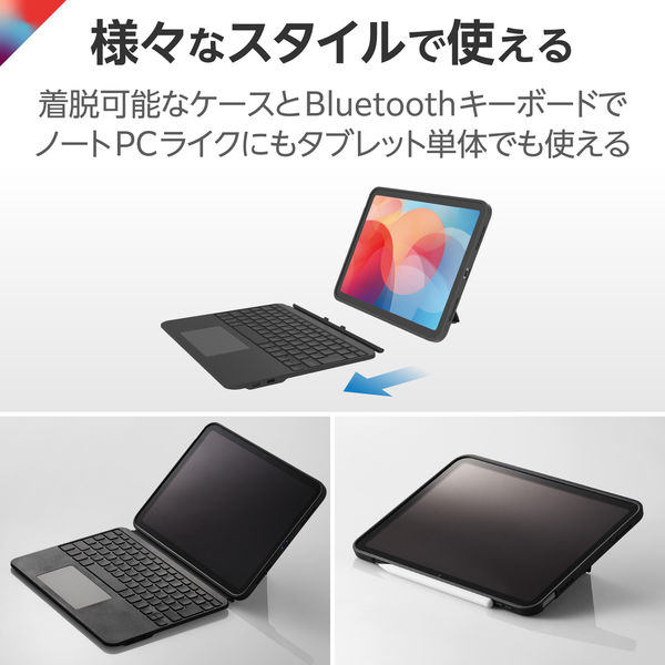 Touch Book for 11インチ iPad Pro - TK-CA10BPBK