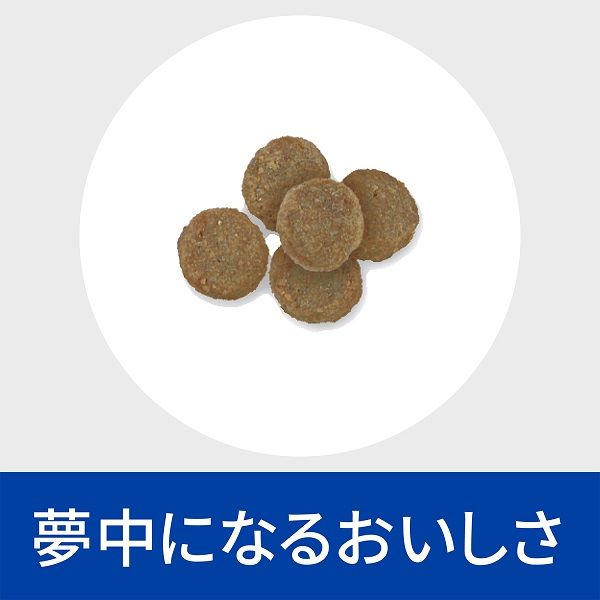 プリスクリプションダイエット z/d 小粒 犬用 療法食 食物アレルギーケア オリジナル 3kg 1袋 ヒルズ - アスクル