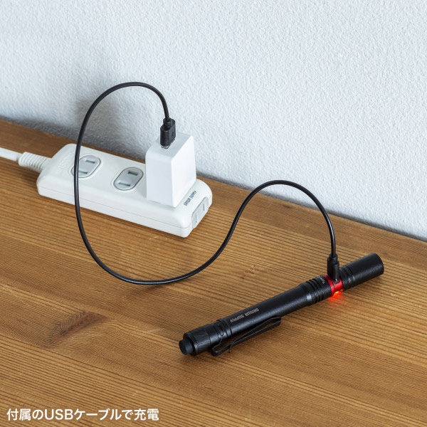 サンワサプライ ペン型ライト(ロングタイプ) LED-PEN3BK 1個