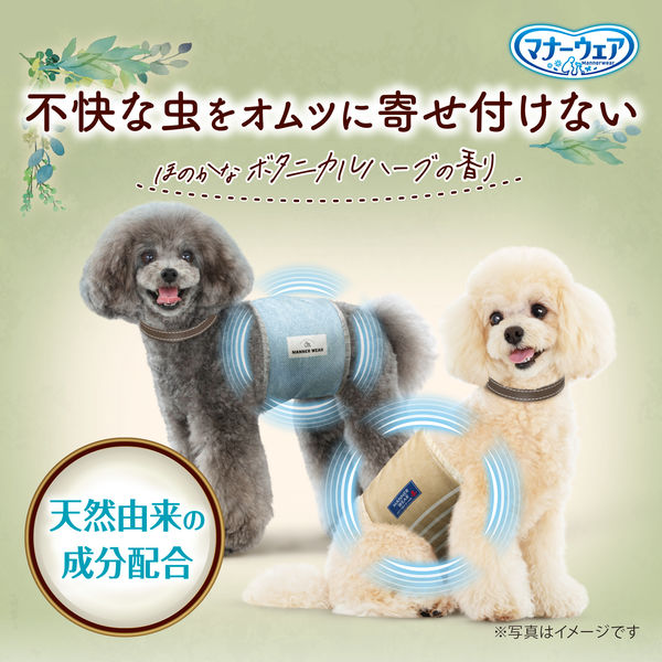 限定)マナーウェア 男の子用 SSサイズ 虫よけオムツ10枚 1 限定)マナーウェア 男の子用 SSサイズ 虫よけオムツ10枚 1
