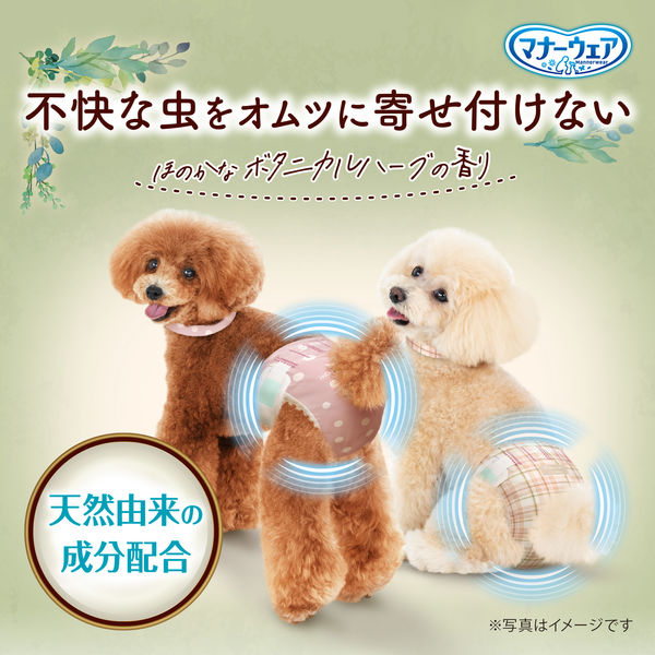 ペットオムツ ペットおむつ SSS マナーウェア おまけ付き マナーウェア 長時間快適オムツ 男の子用 SSSサイズ-ユニ