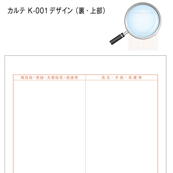 皮膚を極める！的確な鑑別と伝わるカルテの記入法　裁断済　獣医　本 皮疹を極める！ー的確な鑑別と伝わるカルテの記入法ー (Small