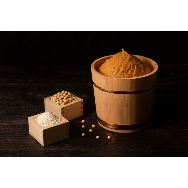 山吹 大寒仕込み 500g 1個 信州味噌 みそ - アスクル