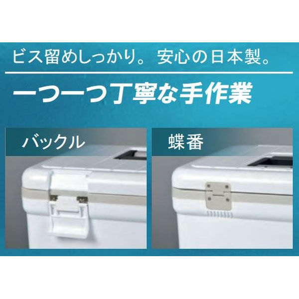 伸和 ホリデークーラー 48H ホワイト 429446 1個（直送品