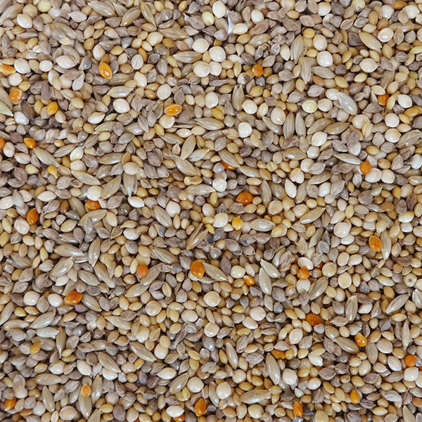 エクセル おいしい 小鳥の食事 皮付き 3.6kg 1セット(1袋×5)NPF 鳥 フード エクセル おいしい 小鳥の食事 皮付き 3.6kg 1セット(1袋×5)NPF 鳥 フード