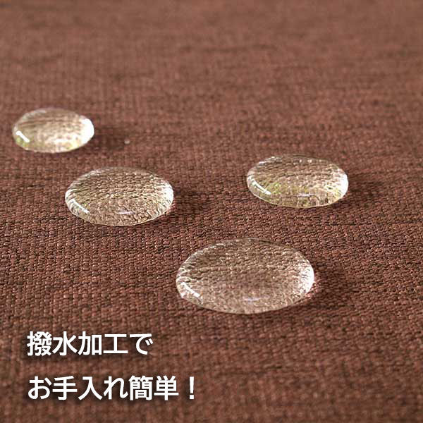 サンベルム ランチョンマット 44×60cm 撥水 リバーシブル ブラウン