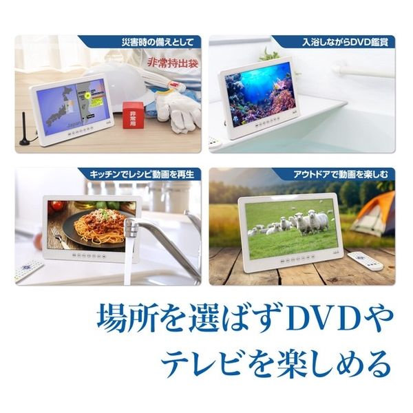 ダイアモンドヘッド 14インチ防水地デジDVDプレーヤー OT