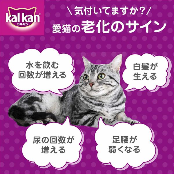 アウトレット】【Goエシカル】カルカン やわらかゼリー仕立て 18
