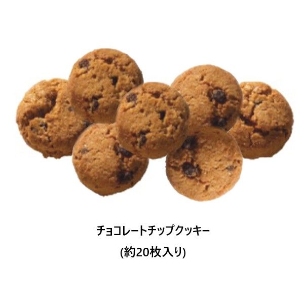 brunt チャーリーケース3.8L チョコチップ