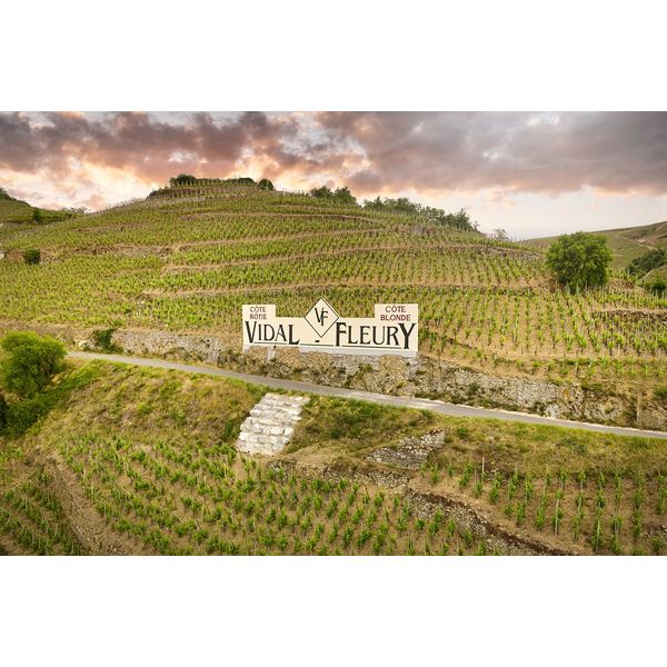 Roberto Valentinoロシアリス トラ柄リバーシブルファーコート