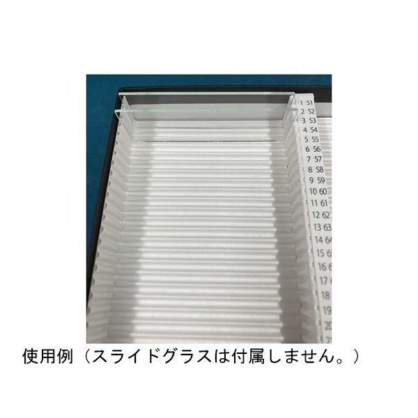 プレパラート標本120枚　顕微鏡観察用　英語版　教材に最適 Amazon.co.jp: プレパラート120枚 顕微鏡観察用 植物 菌 動物