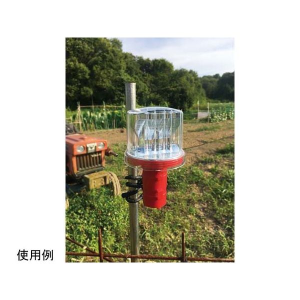 海月さん専用　マンドラ　宮野製MD-1 ウルトラライトケース付き 海月さん専用 マンドラ 宮野製MD-1 ウルトラライトケース付き