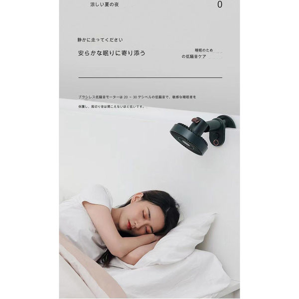 竹子1 生地扇子 単品（全2種類） – 白竹堂オンラインショップ