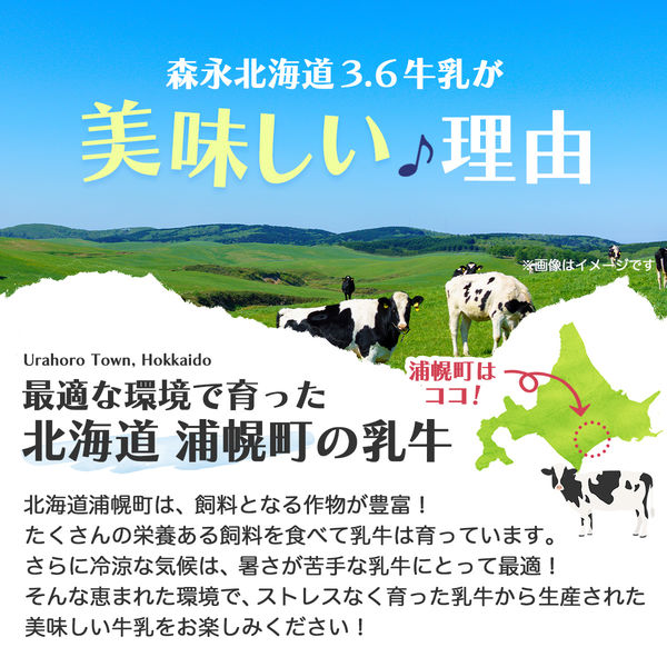 森永乳業 森永北海道3.6牛乳 4902720068079 1ケース(1000ml×12（直送品