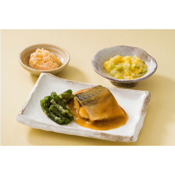 介護食 やわらか食 [冷凍食品] 日東ベスト ホスピタグルメセット