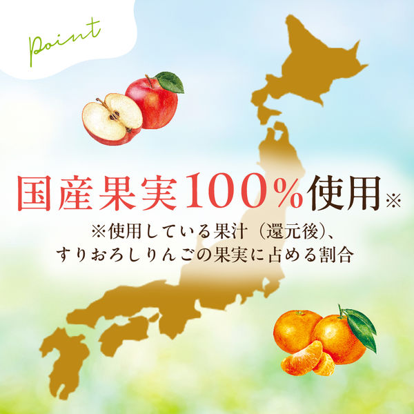 6ヶ月頃から】くだものスムージー MINOTTA ふじりんご 1セット