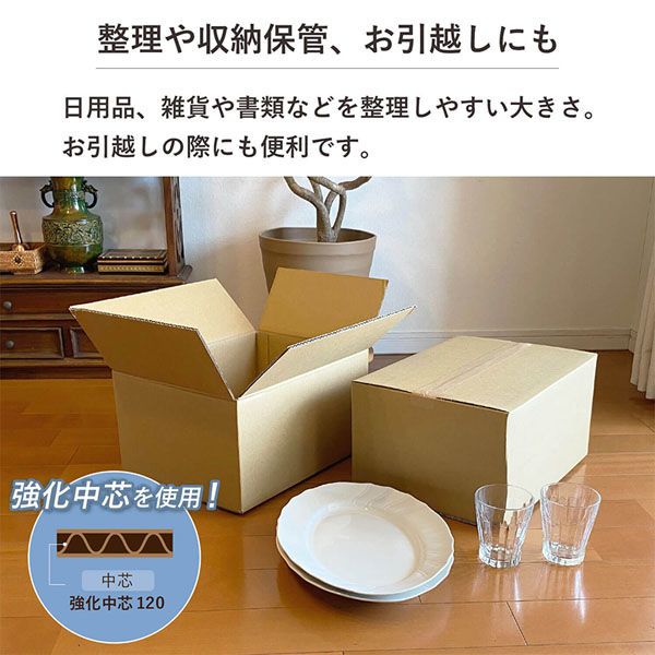 シモジマ 100サイズダンボール 39×28.5×20cm 4571689032126 1セット