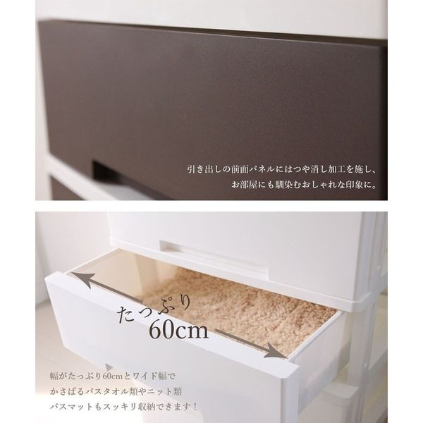 グリーンパル (ニューライフワイド)収納ボックス4段ホワイト2個セット