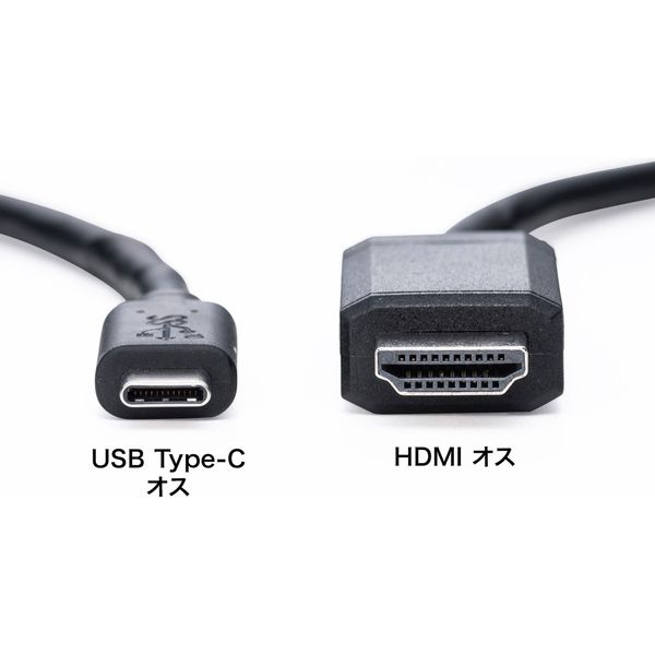 サンワサプライ TypeC-HDMI変換ケーブル 2m KC-ALCHD20 1本