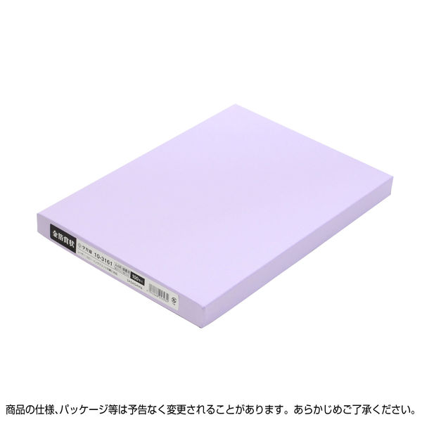 ササガワ OA金箔賞状用紙 A4判 横書用 白 100P 10-3161 1箱（100枚入）（取寄品）