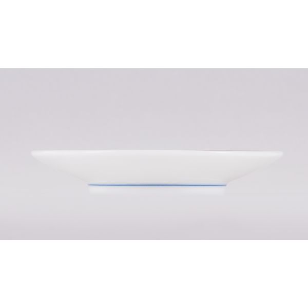 希少 器 皿 中国明時代 古染付皿2枚 直径14.5/20.7㎝ 東さ6-0913③ - メルカリ