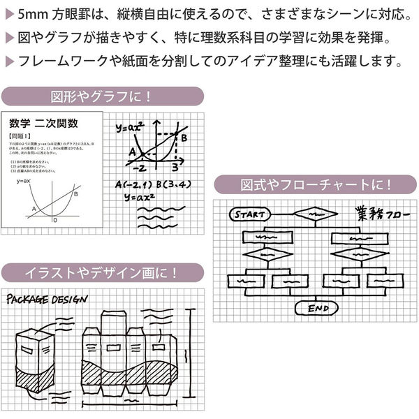 マルマン B5 ルーズリーフ 5mm方眼罫100枚 L1207H 1袋（100枚入